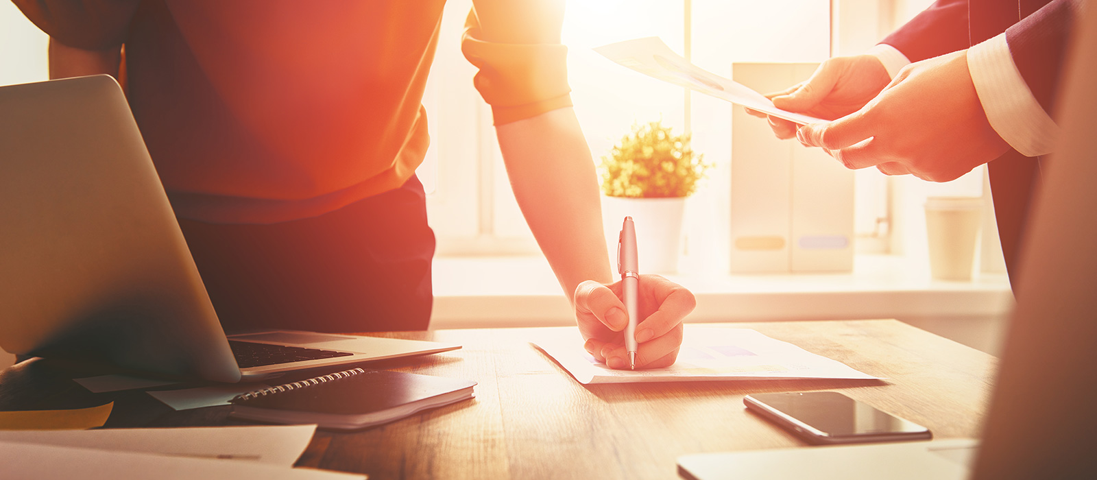 Steurat GmbH Bensheim - Peter Riedel