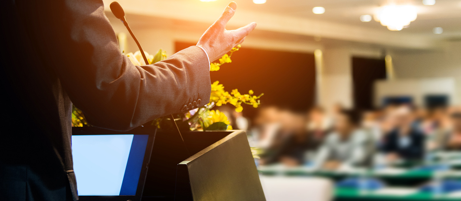 Steurat GmbH Bensheim - Peter Riedel